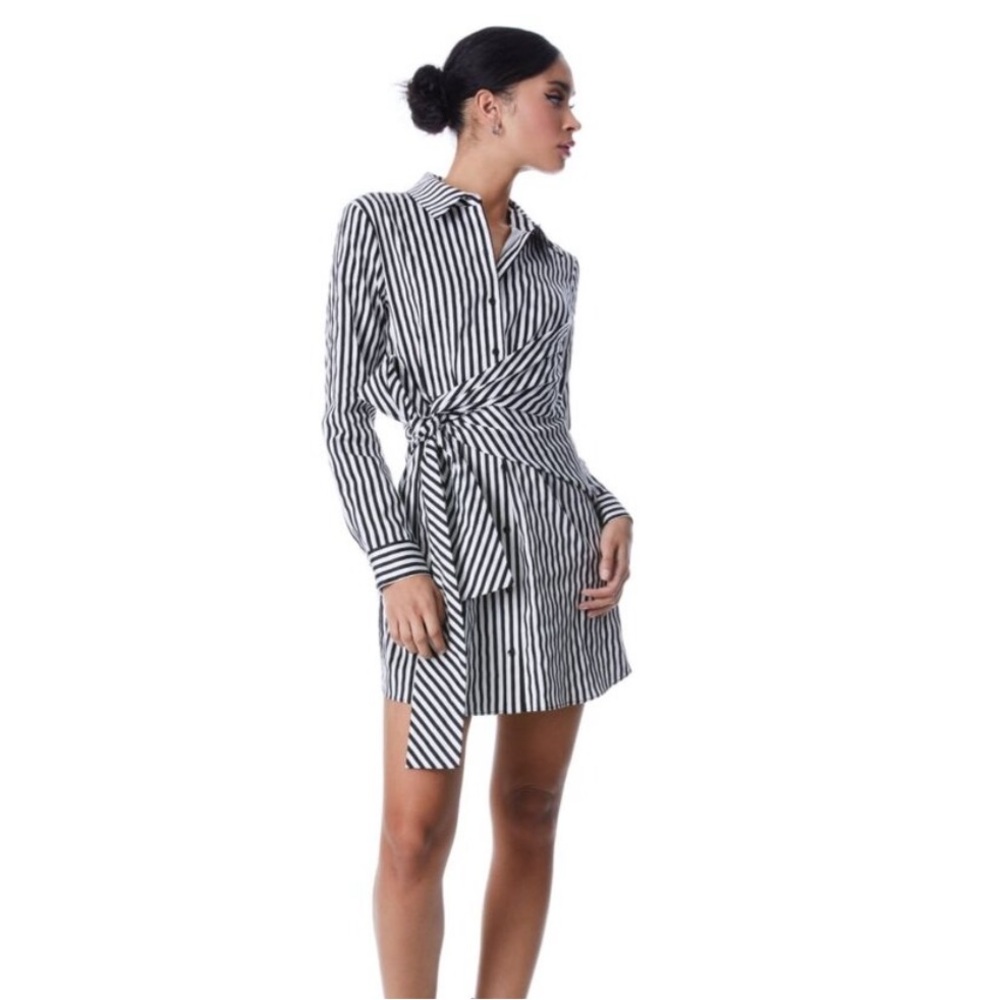 Alice + Olivia Black and White Striped Shirt Dress - Picture 2 of 6